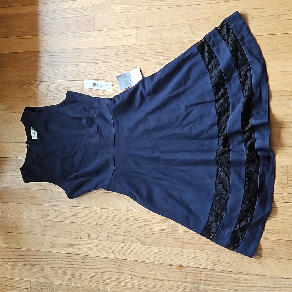 NWT Eliza J fit and flare dress with pockets and lace trim 6